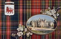 Picture of Clan Table Mats - Ogilvie